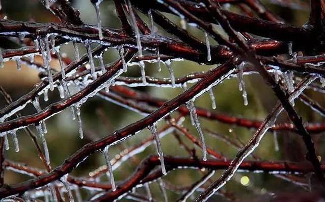 【地理專題】與冰雪有關的地理概念,如何區分海冰,,與