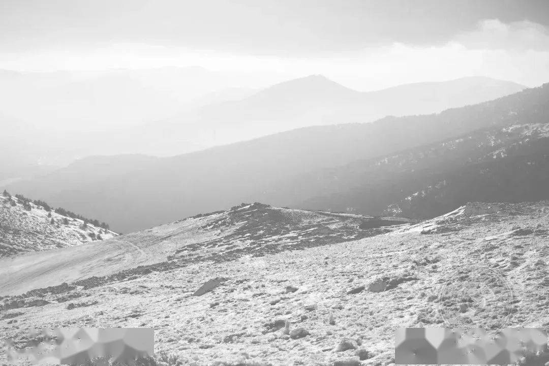 《密集的工作生活(中国,2015)》(组照)08zhan