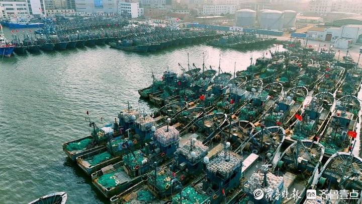 2024年2月15日,正月初六,威海荣成市石岛渔港一派繁忙.