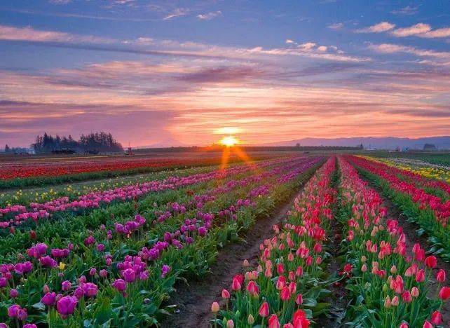 好的缘分,在于交心_真正的朋友_感情_心灵