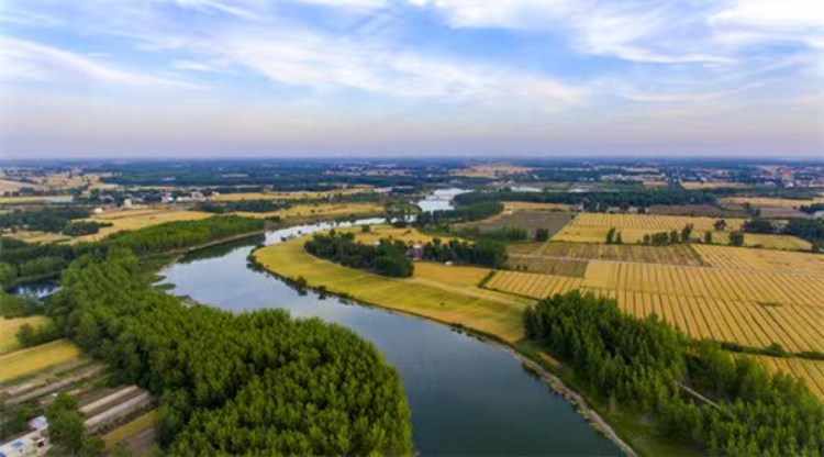 走基层丨安徽利辛:农文旅融合 唱响新时代田园牧歌_发展_乡村_胡集镇