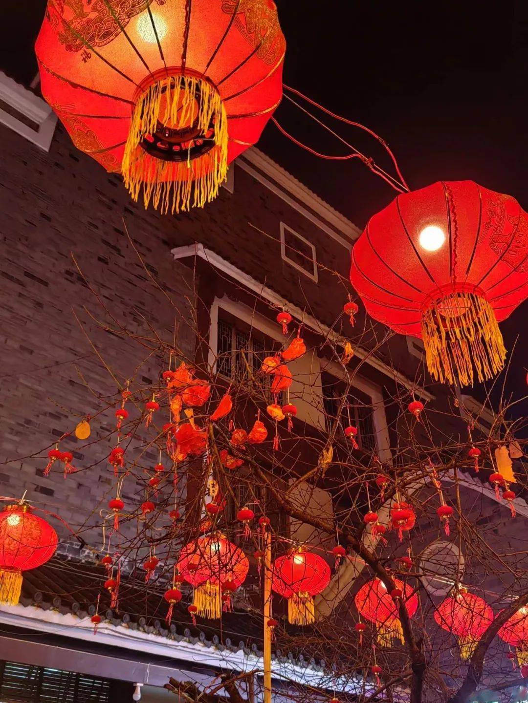 摆满了挂满了红灯笼热闹非凡的街道上城市年味儿正浓到账第三笔之城市