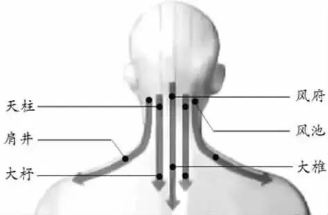 颈部刮痧的方法图解图片