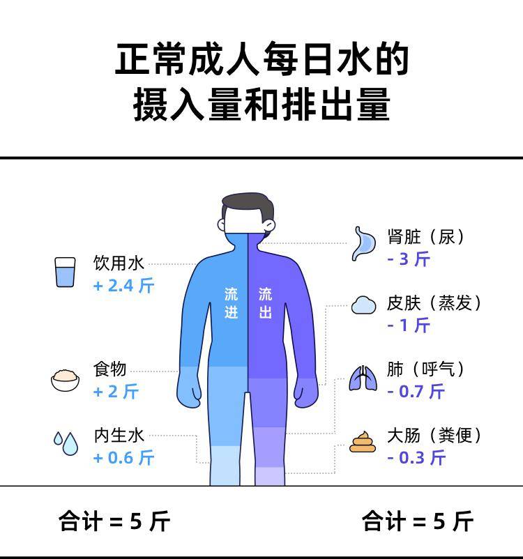 一天竟然能胖 3 斤 真人实测揭露体重的秘密