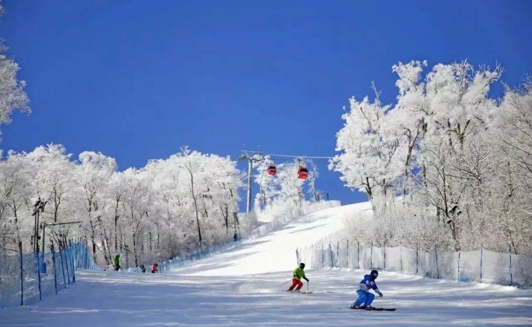 莲花山滑雪场共有13条滑雪道,其中4条初级道,2条中级道,7条高级道,可