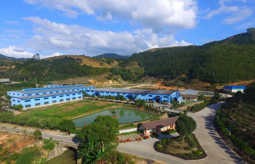 二宜楼酒厂:感受酒香之美 品味酿酒文化_卢紫腾_酿造_酒糟