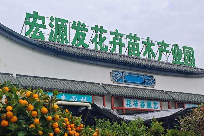 深圳石岩湖公园门票图片