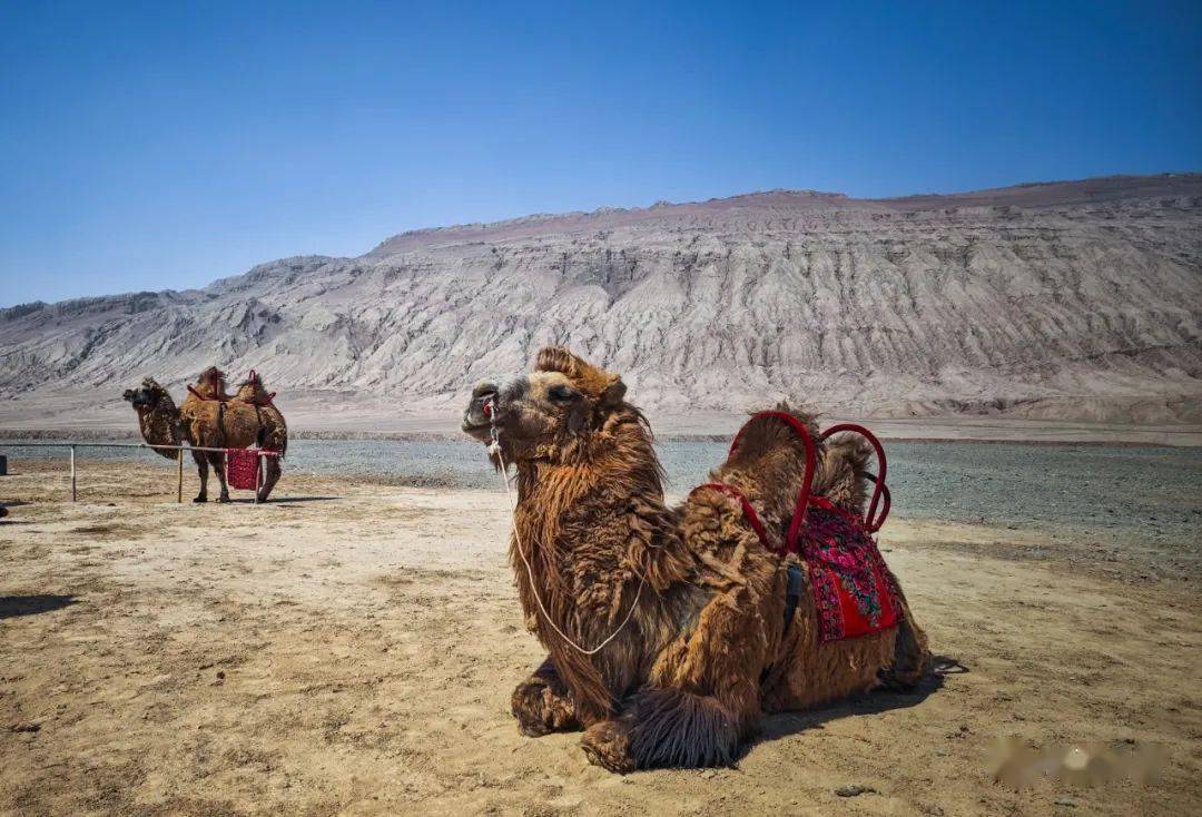 新疆:吐鲁番之火焰山_西游记_孙悟空_景区