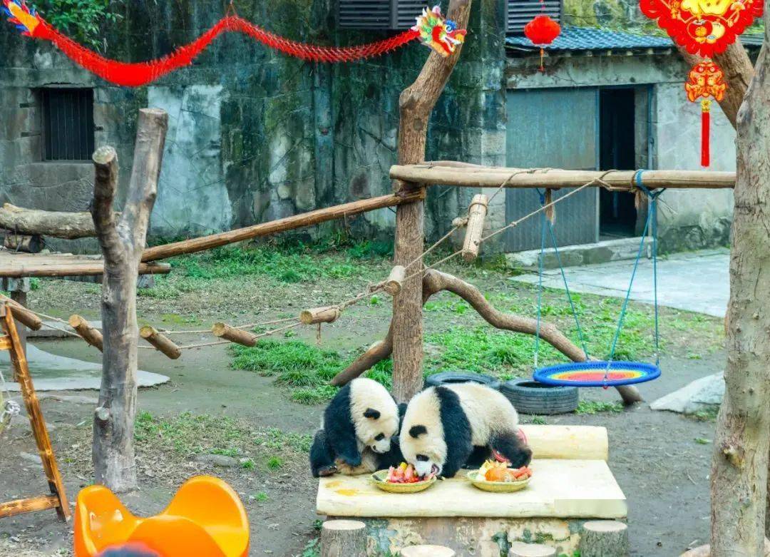厦门南川动物园图片
