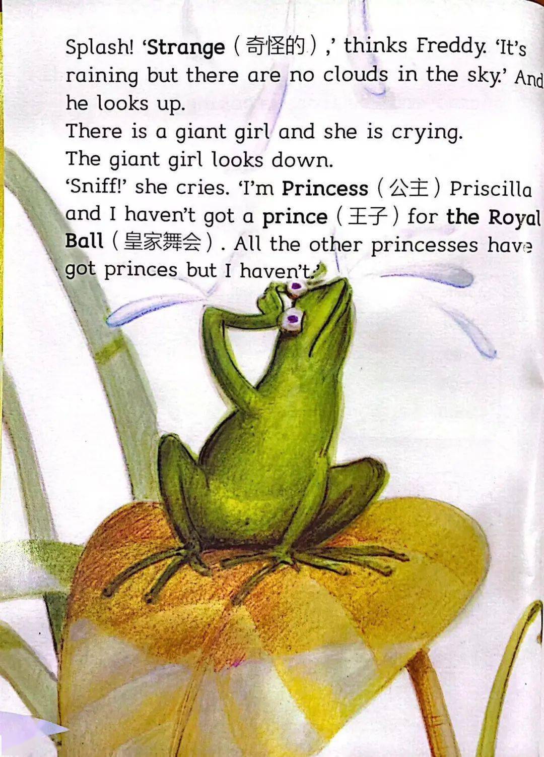 国际理解教育·小海豚英文电台 | 第87期:freddy the frog prince