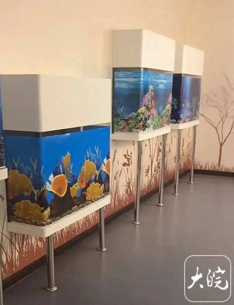 春节期间,有家长带孩子前往山西太原动物园游玩时发现,该动物园水族