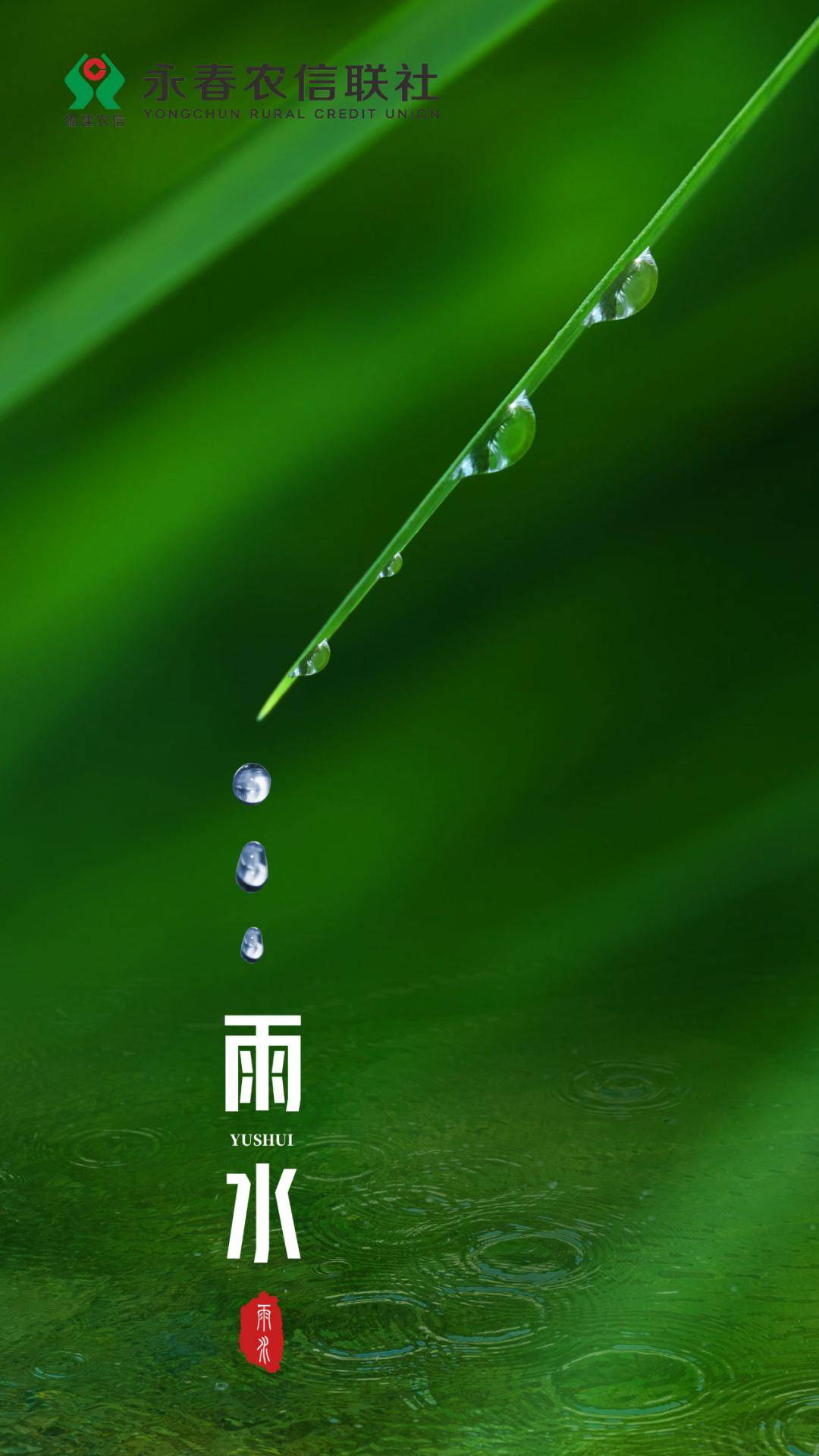 今日雨水_节气_收获_向前