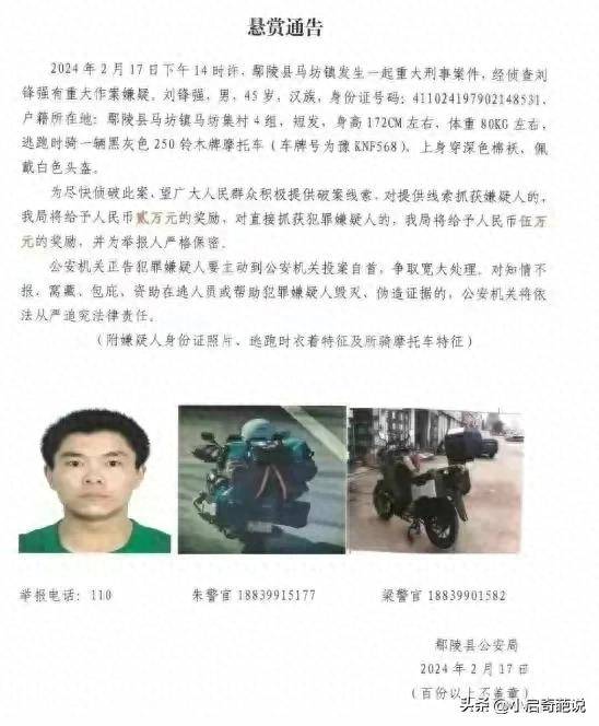 血案悬念:河南惊现重大刑事案_警方_真相_案件