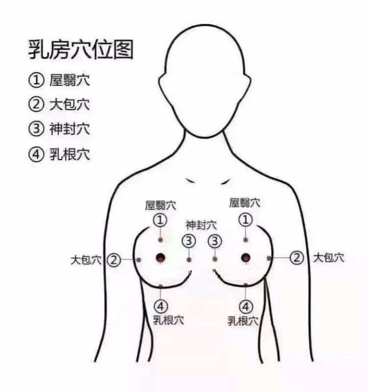 乳房九大经络位置图图片