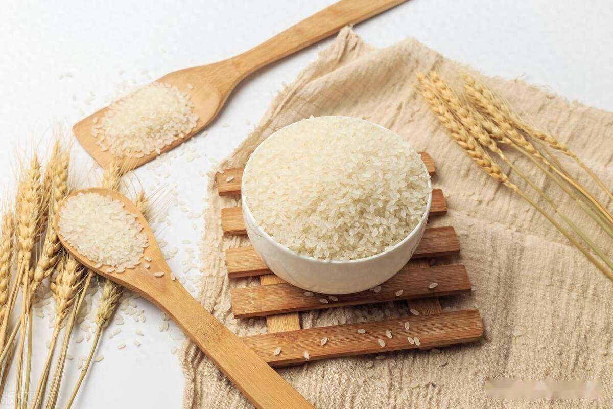 大米是水稻还是小麦_地区_谷物_来源