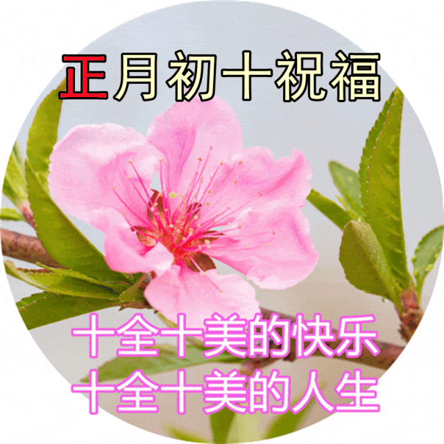 大年初十图片,新年祝愿十全十美,美满幸福一心一意送上!
