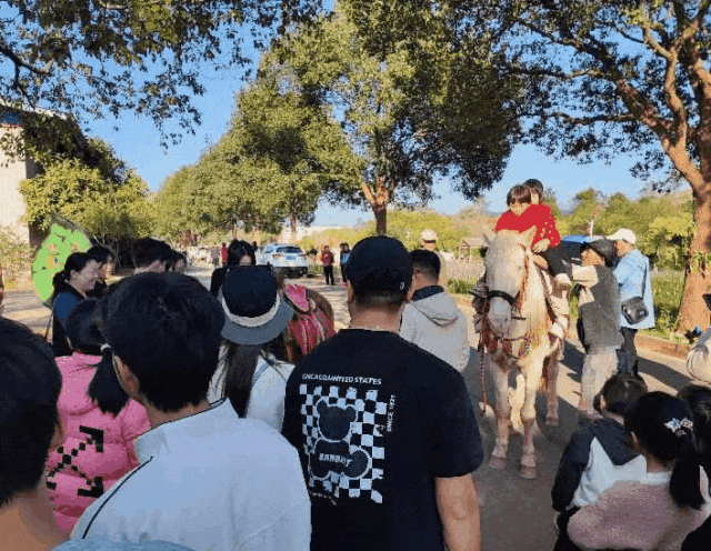 平远春节假日文旅市场"热辣滚烫"!_文化_活动_市民