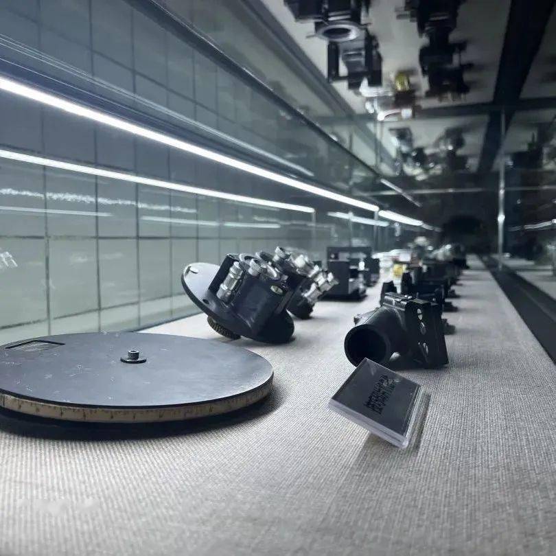 马上出发看风景!_长春_动植物公园_汽车