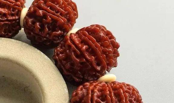 怎样才能让金刚菩提子快一些上色?_汗液_温度_汗盘