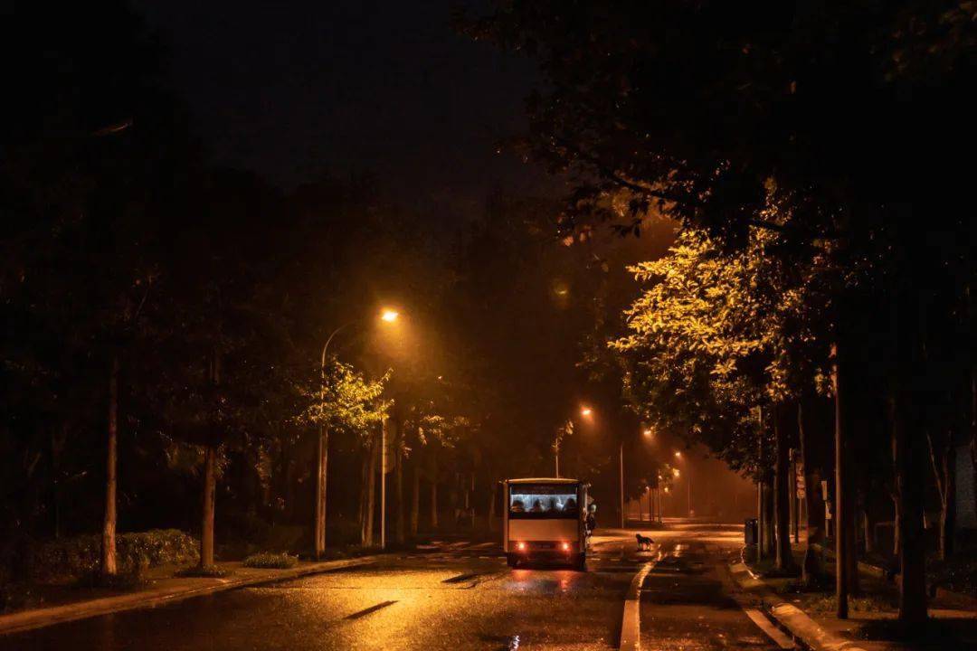 雨水|随风潜入夜,润物细无声_重庆_图片_万物