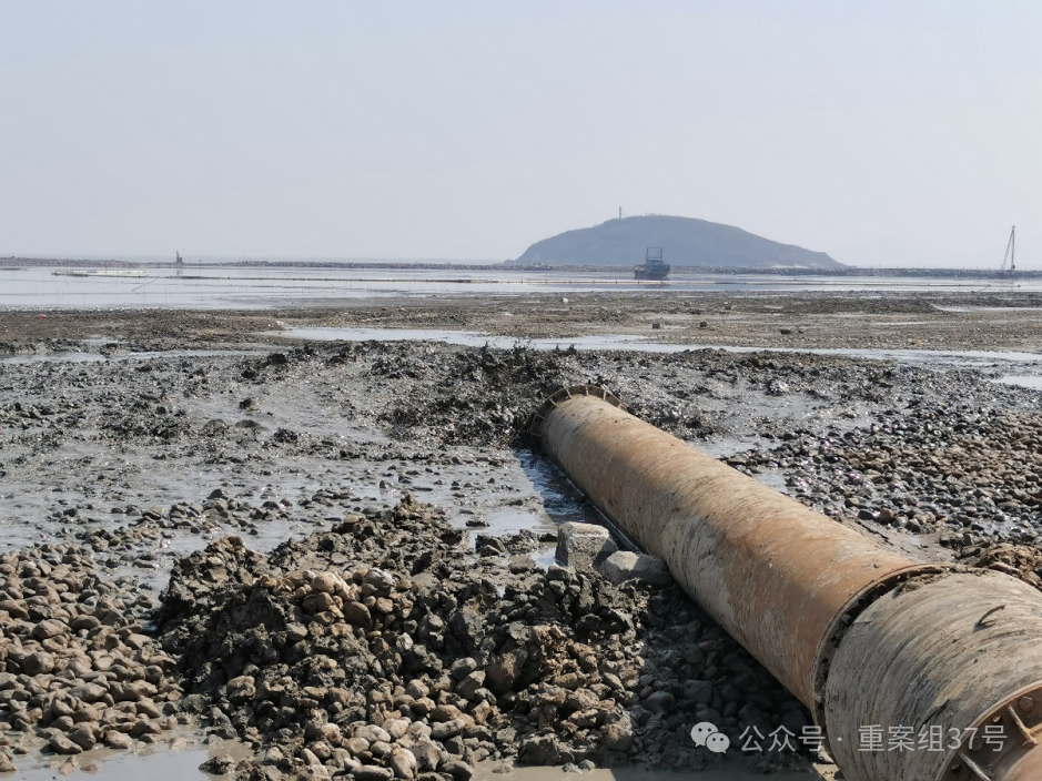 受访者供图新京报记者 | 刘思维编辑 | 彭冲校对 | 吴兴发▼全文4919