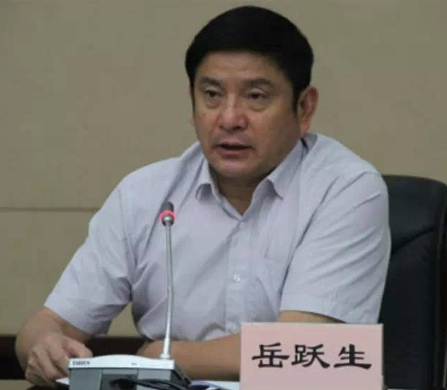 当过市长的岳跃生,再被处理_云南省_职务_严重