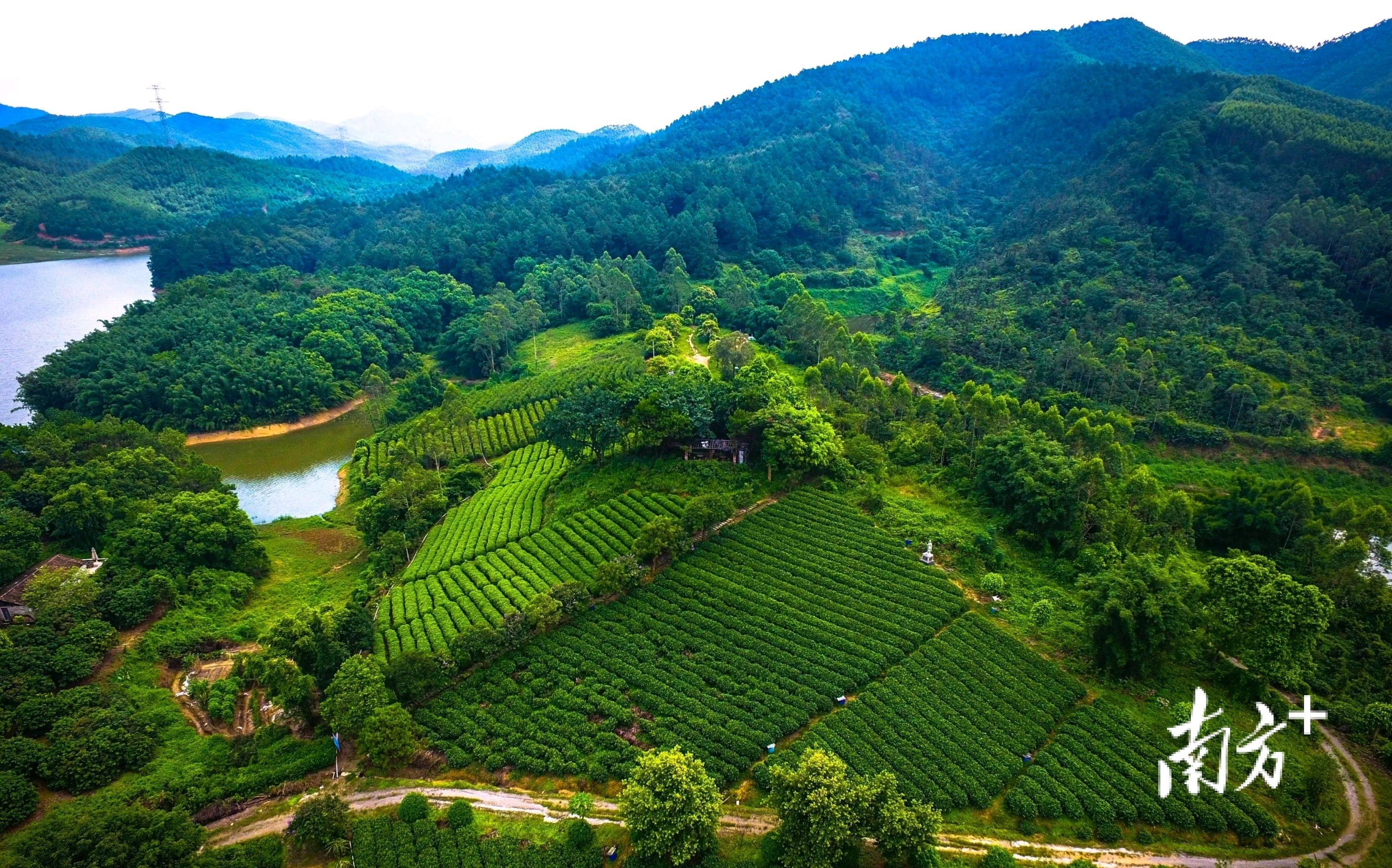 江门鹤山旅游景点图片