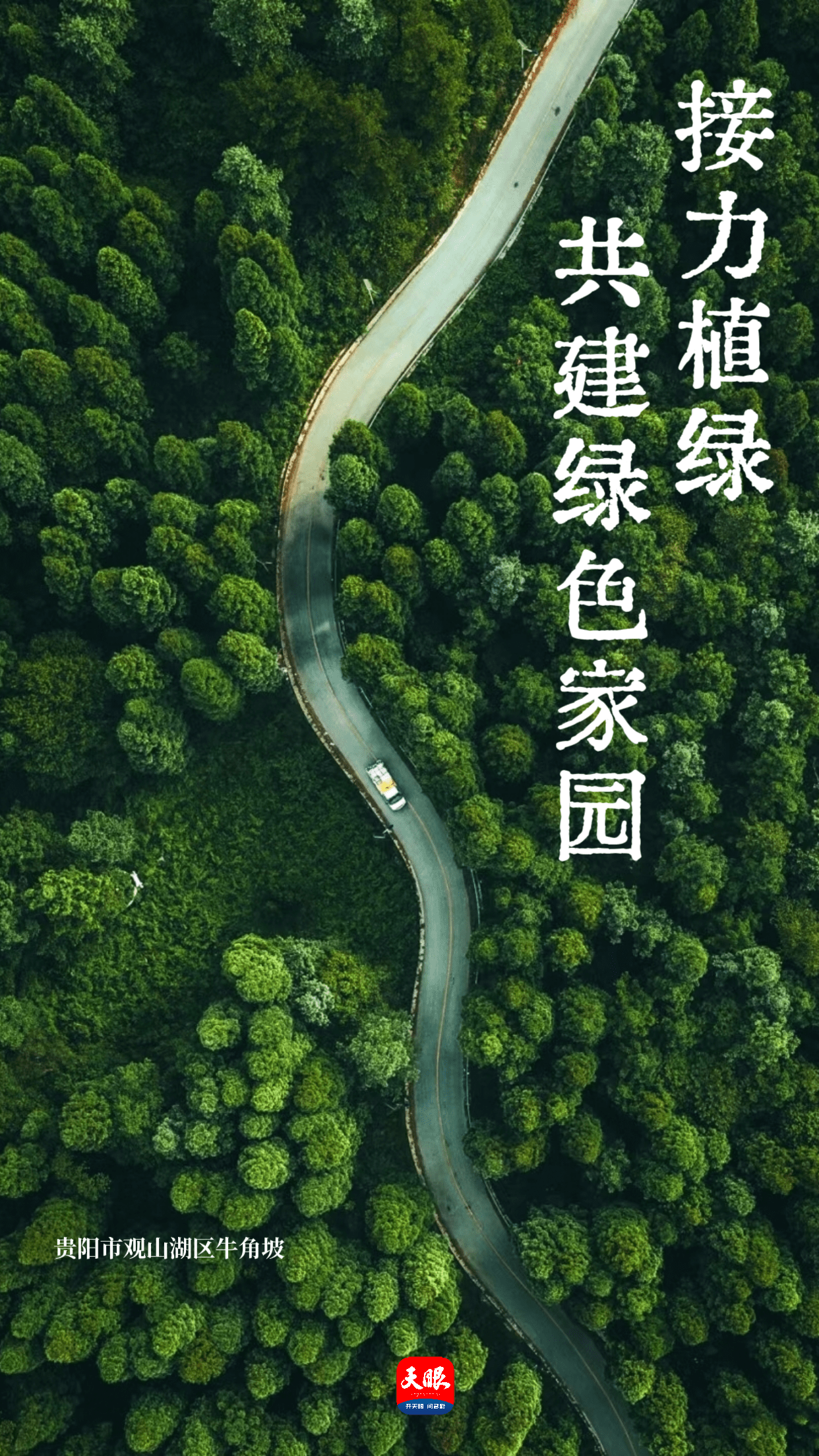 天眼v记录|接力植绿 共建绿色家园_许邵庭_刘蓝_文案