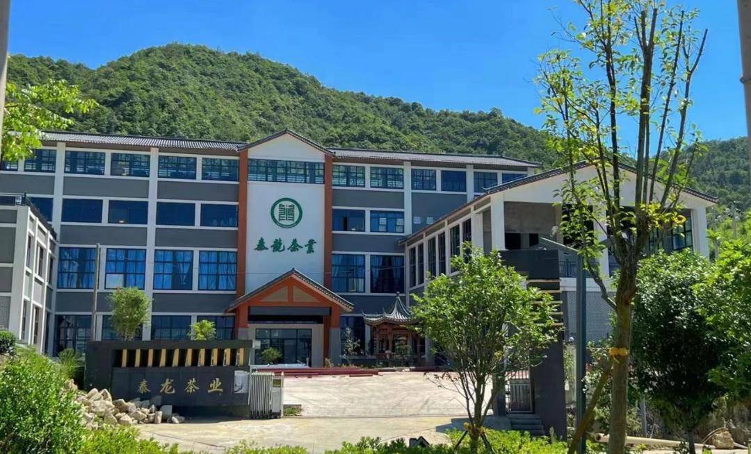 街镇(乡)风采丨泰顺县仕阳镇人大:"茶"寻新路 助推绿色产业共富_发展