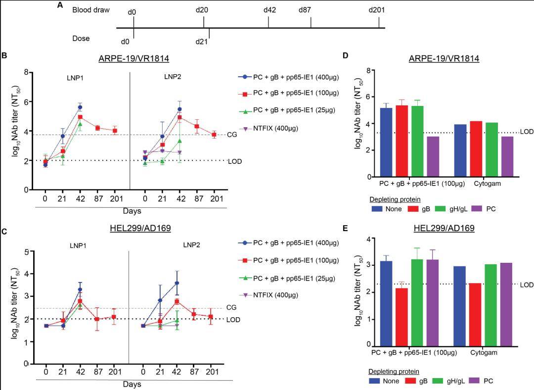 抗体_复合物_免疫