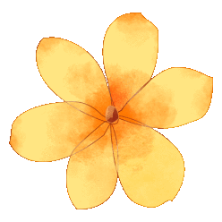 玉溪"村节"丨跟着达人游新平, 2024旅行清单 1_瀑布_一行_景区