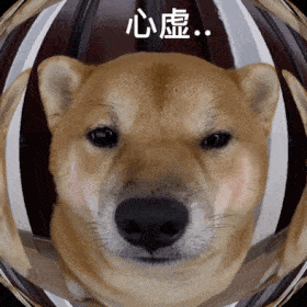 可爱wechat表情包:眼巴巴_公众_il_熊猫头