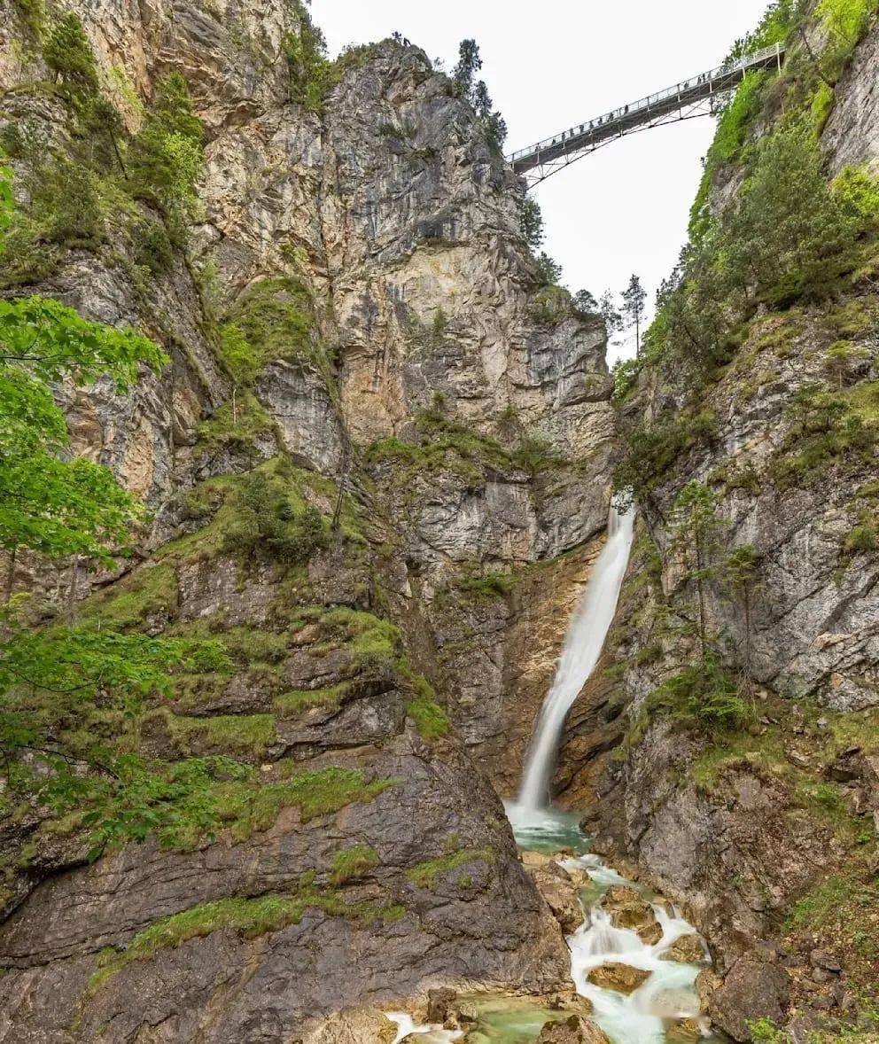 美国男子新天鹅堡杀害亚裔女性一案开庭,更多残忍细节被披露_troy