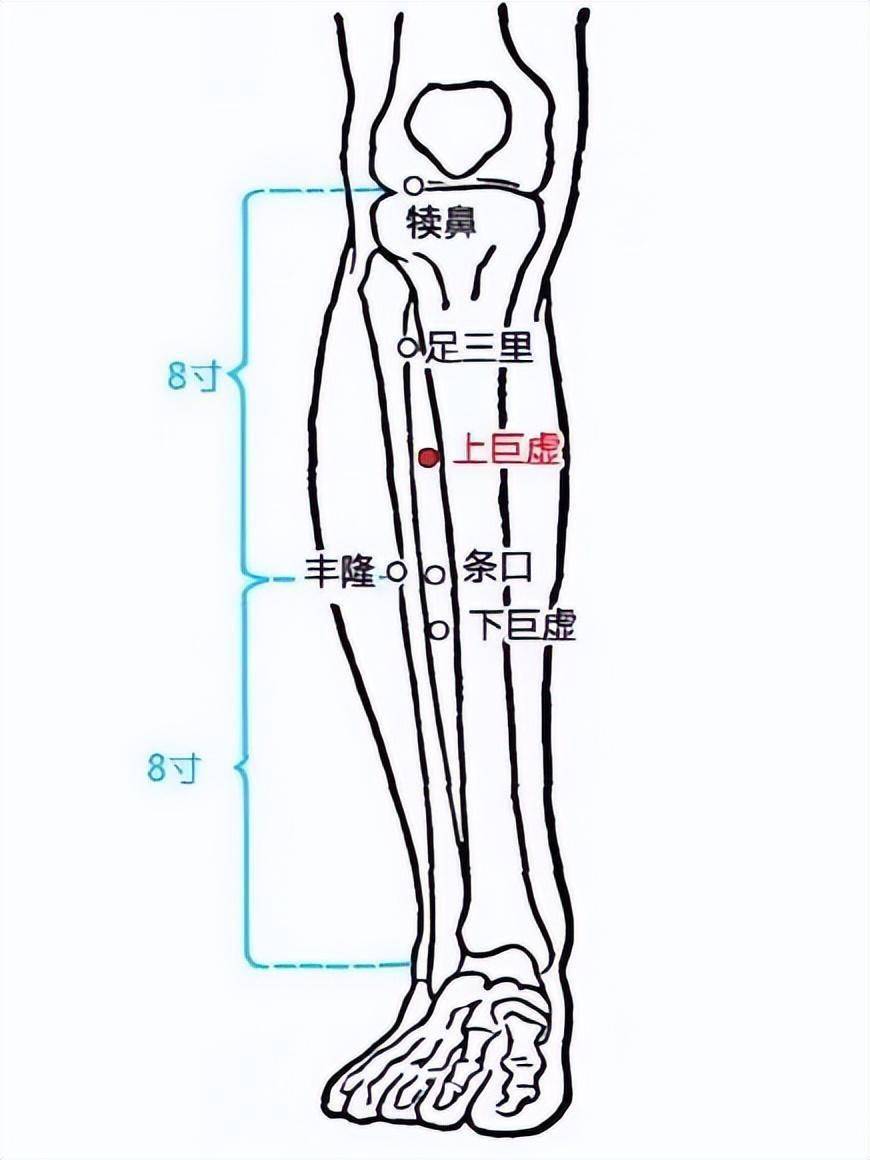 下合穴 来自搜狐网