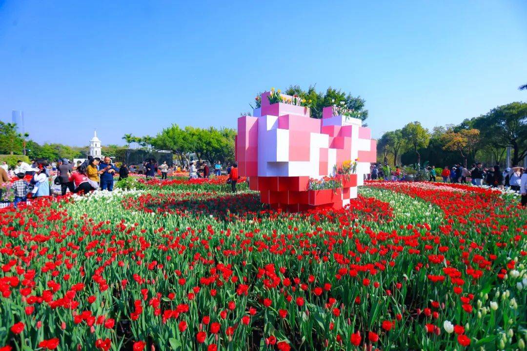 错峰出游好去处!超出片!园博苑8大花展不打烊