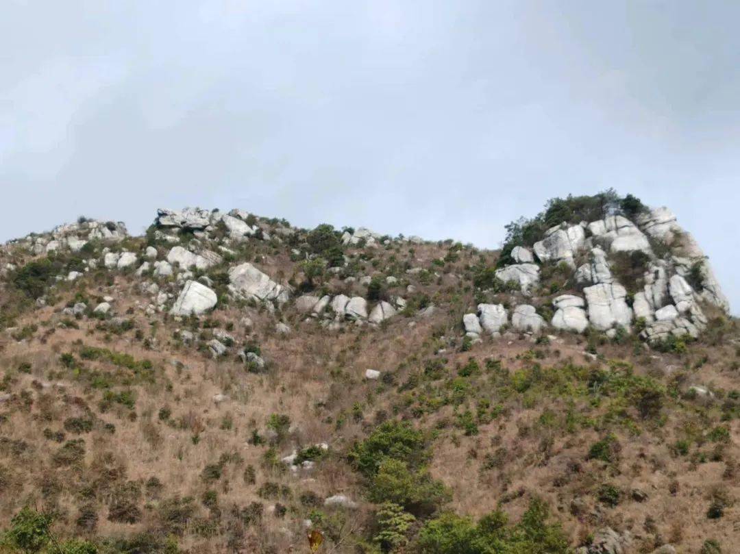 永新秋山介绍图片