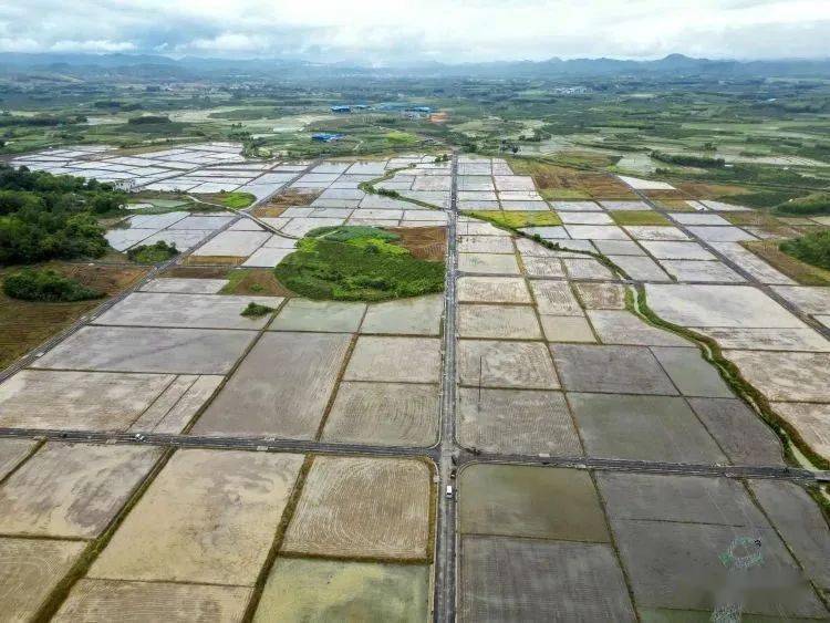 2023年,象州县经济→_发展_项目_产业