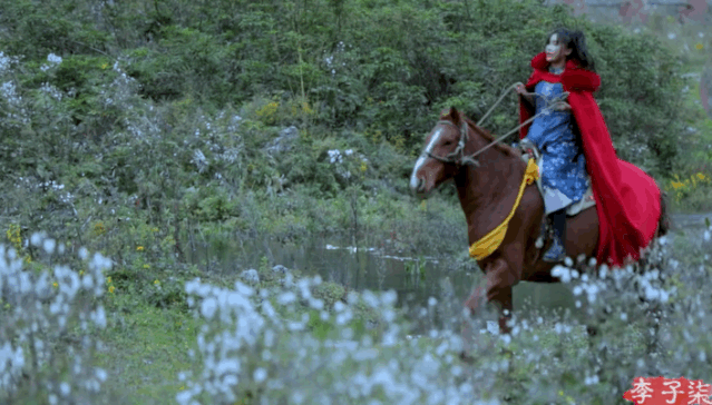 李子柒消失55天后再爆红,我看到了14亿中国人向往的生活_村子_时光