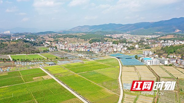 湖南新田:春日田园景美如画_发展_新田县_永州