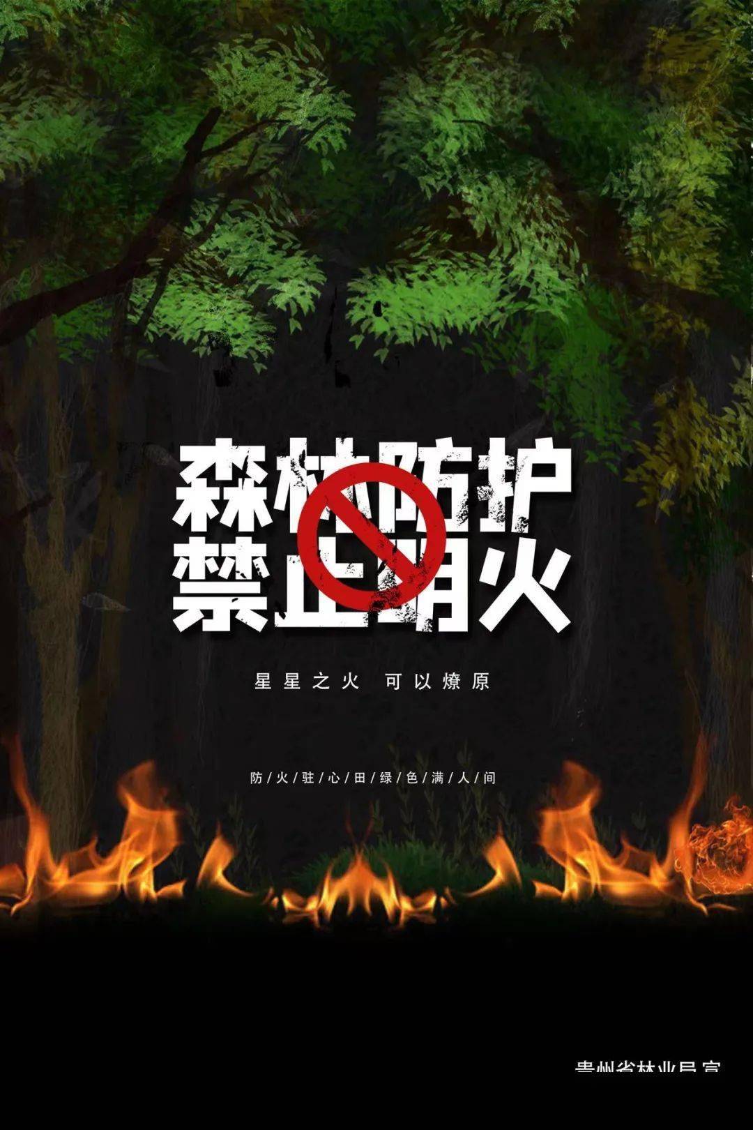 海报丨森林防火 有你有我