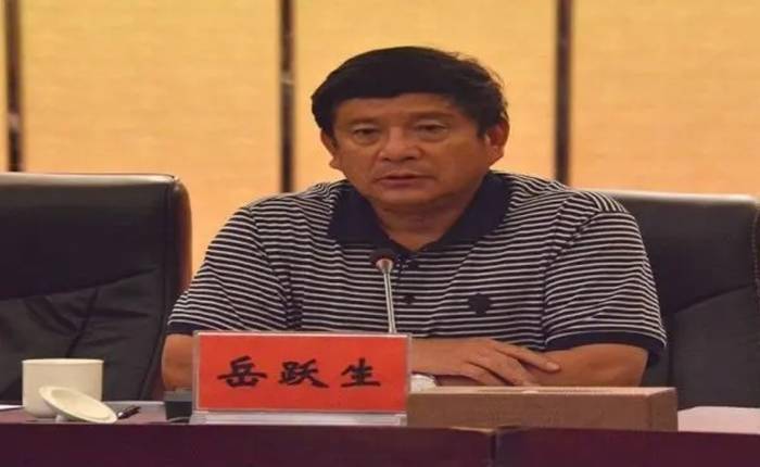 岳跃生被开除党籍,取消退休待遇,曾担任5年云南曲靖市长_严重_红河州