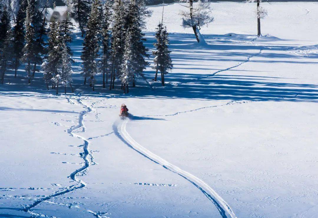 龙年初雪来临,最会玩的人已经去撒野了_滑雪_冰雪_度假