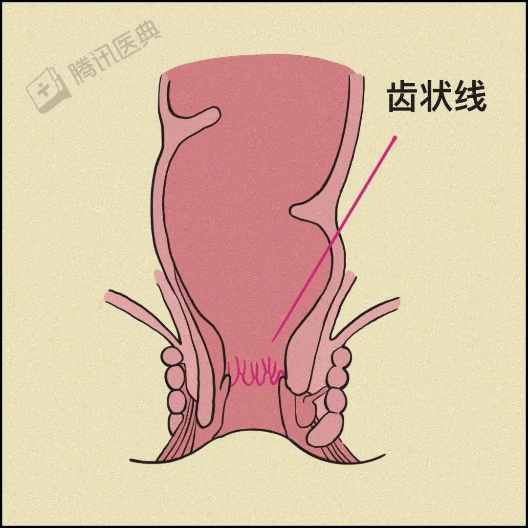 痔疮膏销量翻3倍