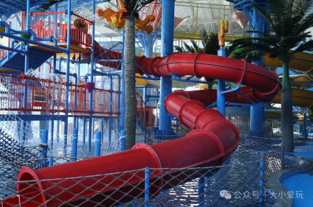 冬奥_怀来_小爱