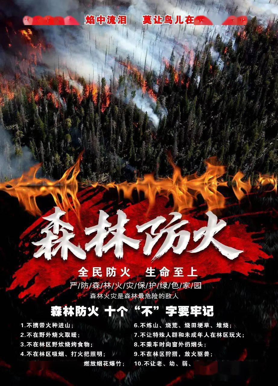 这组海报请查收→_黔南州_防范_火灾