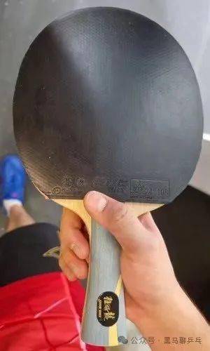 世界前十,男子选手器材配置(202402)_正手_樊振东_波尔