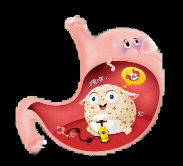 你就是个"显眼包"_胃酸_科普_保护