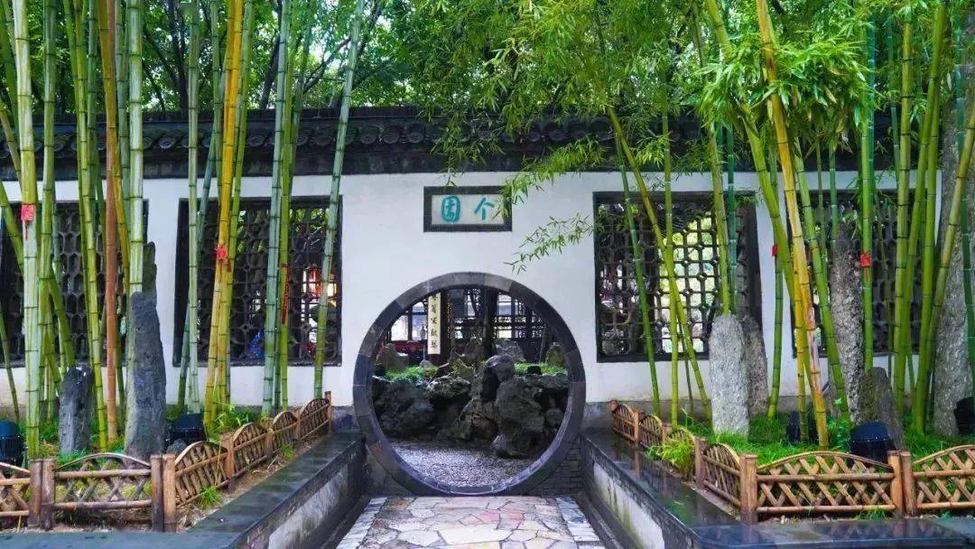 个园丨春雨如丝,细绘生机_雨水_生活_大自然