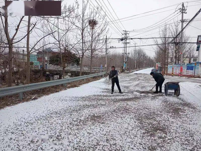 为降低积雪冻冰对群众日常生产生活的影响,消除交通安全隐患,陈楼镇