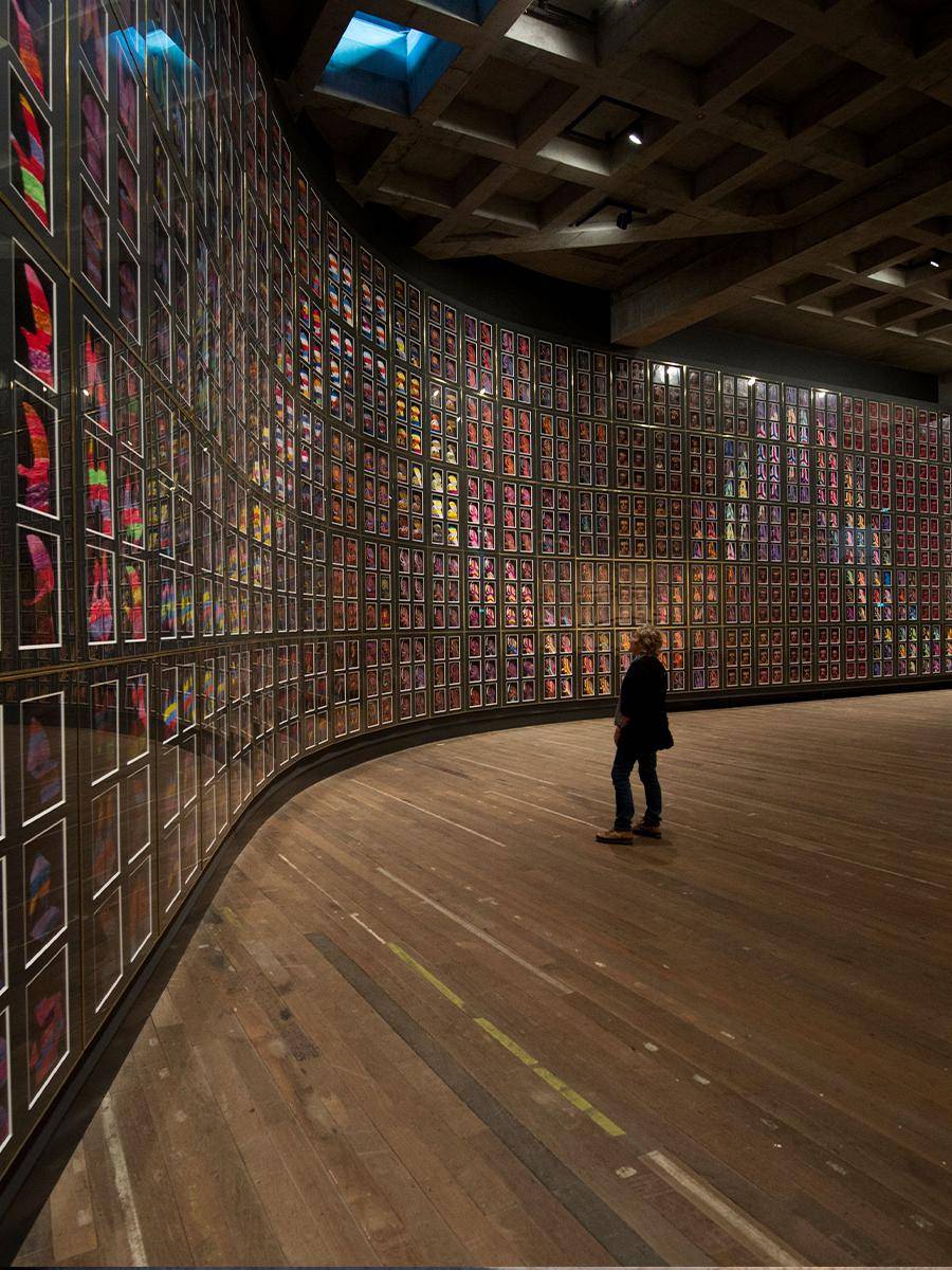 澳大利亚旅游局发布 2024 年旅行榜单(下)_雨林_stone_埃斯